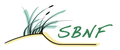 Logo SBNF